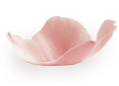 עלה