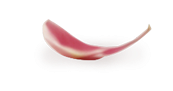 עלה